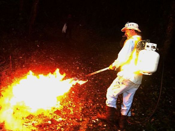 Cleanup is always more fun with a flamethrower!